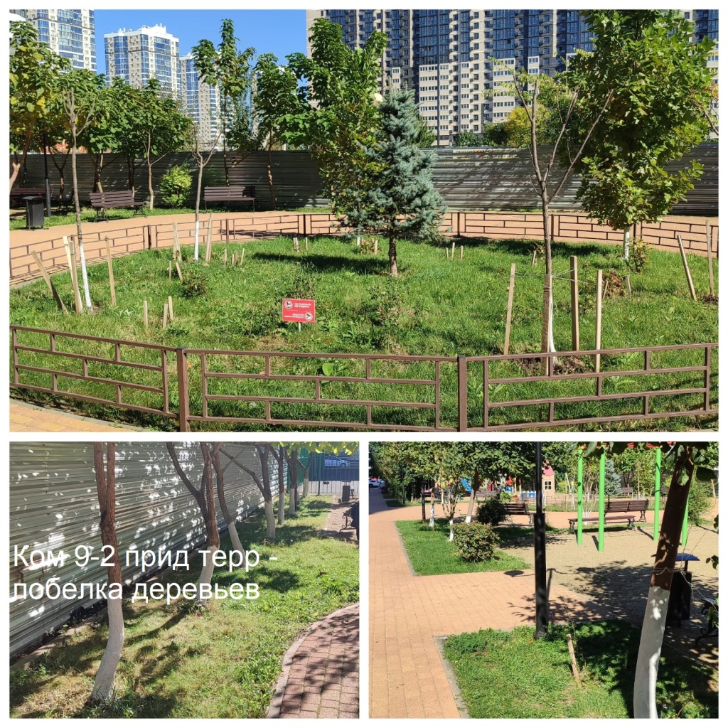 2025.10.06 - 9-2 пт - побелка деревьев.jpeg 2025.10.06 - 9-2 пт - побелка деревьев.jpeg