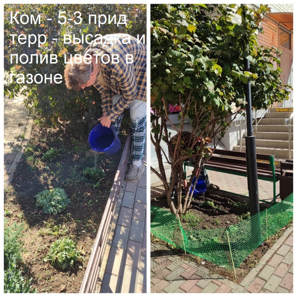 2025.09.12 - 5-3 пт - высадка и полив цветов в газоне.jpeg 2025.09.12 - 5-3 пт - высадка и полив цветов в газоне.jpeg