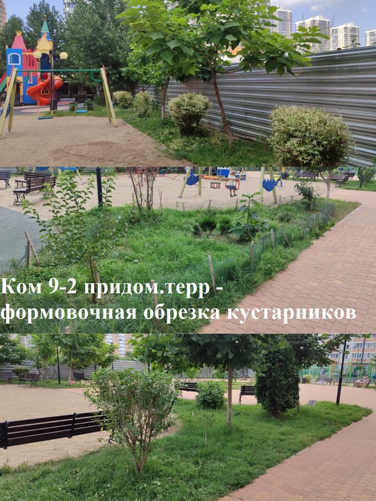2025.07.11 - 9-2 придом.терр - формовочная обрезка кустарников.jpeg 2025.07.11 - 9-2 придом.терр - формовочная обрезка кустарников.jpeg