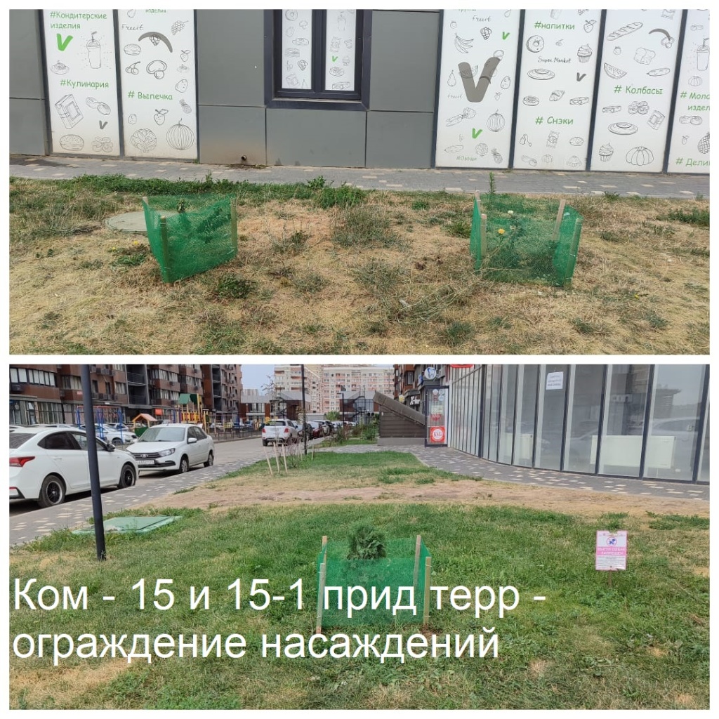 2025.09.09 - 15 и 15-1 пт - ограждение насаждений.jpeg 2025.09.09 - 15 и 15-1 пт - ограждение насаждений.jpeg