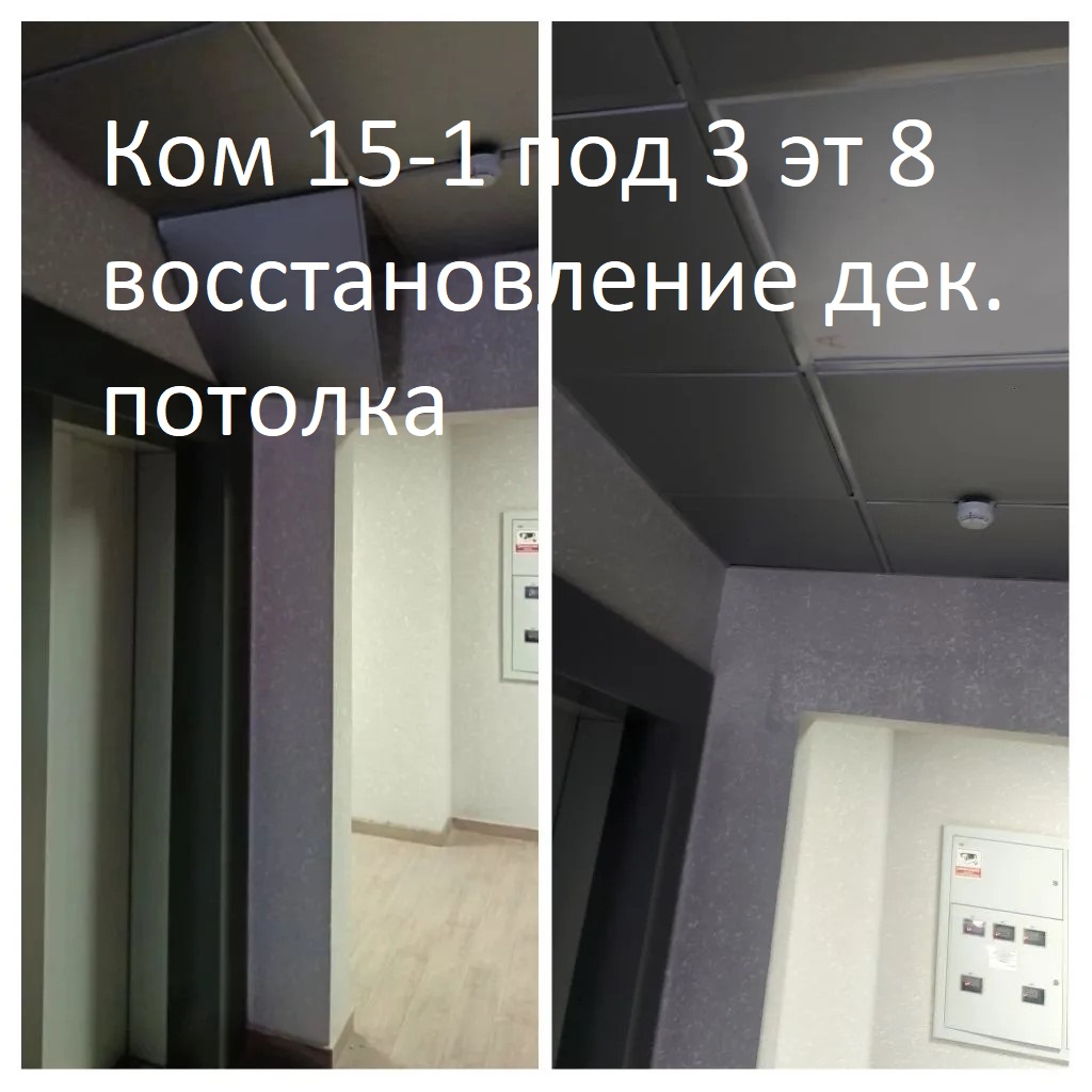 2026.06.01 - 15-1 п3 эт 8 - востановление декорат. потолка.jpg 2026.06.01 - 15-1 п3 эт 8 - востановление декорат. потолка.jpg
