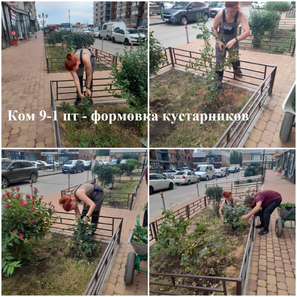 2025.08.20 - 9-1 пт - формовка кустарников.jpeg 2025.08.20 - 9-1 пт - формовка кустарников.jpeg