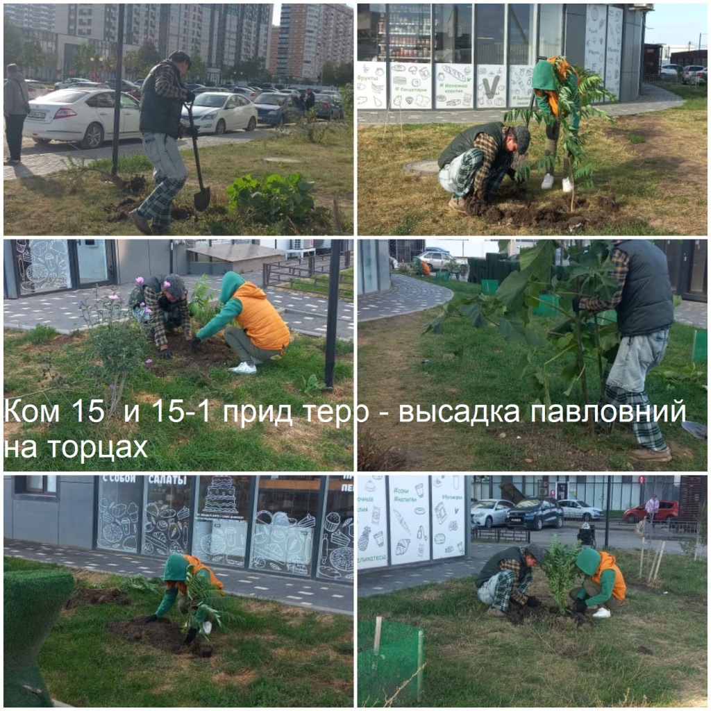 2025.10.02 - 15   15-1 пт - высадка павловний на торцах.jpeg 2025.10.02 - 15   15-1 пт - высадка павловний на торцах.jpeg