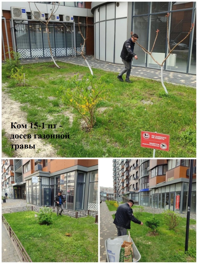 2026.04.13 - 15-1 пт - досев газонной травы.jpeg 2026.04.13 - 15-1 пт - досев газонной травы.jpeg