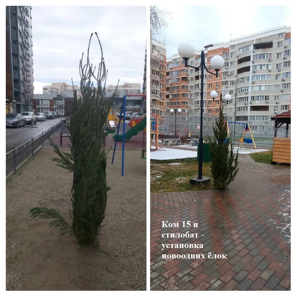 2025.12.12 - 15 и стилобат - установка новоодних ёлок.jpg 2025.12.12 - 15 и стилобат - установка новоодних ёлок.jpg