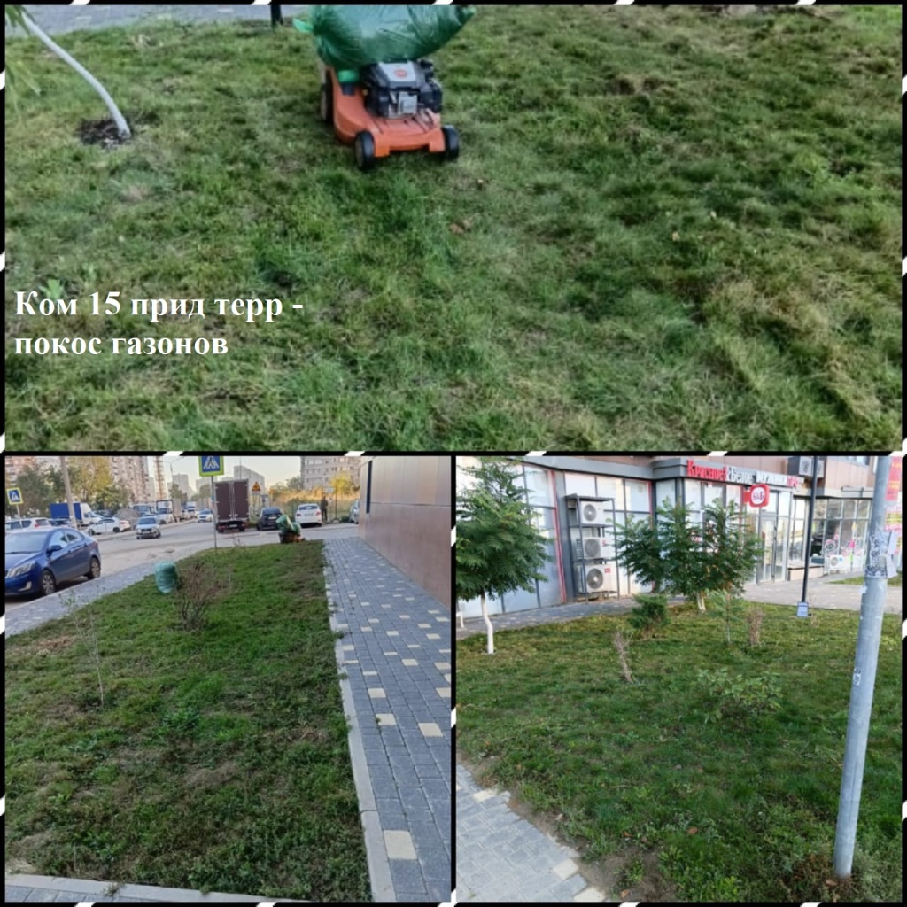 2025.10.17 - 15 пт - покос газонов.jpeg 2025.10.17 - 15 пт - покос газонов.jpeg