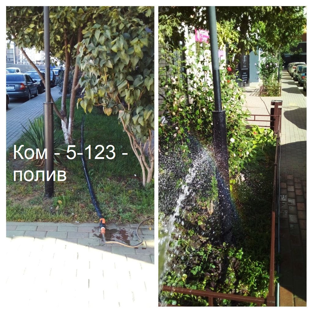 2025.09.12 - 5-123 - полив.jpeg 2025.09.12 - 5-123 - полив.jpeg