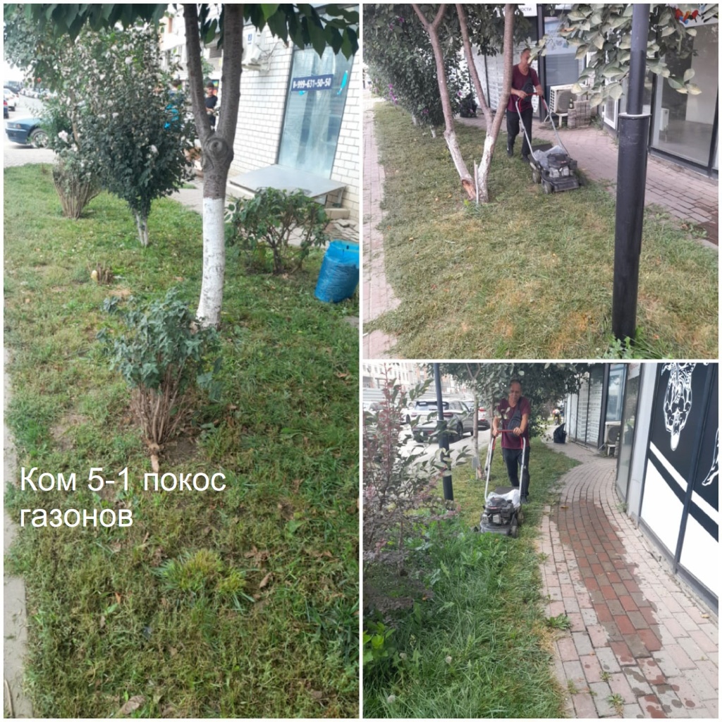 2025.09.02 - 5-1 покос газонов.jpeg 2025.09.02 - 5-1 покос газонов.jpeg