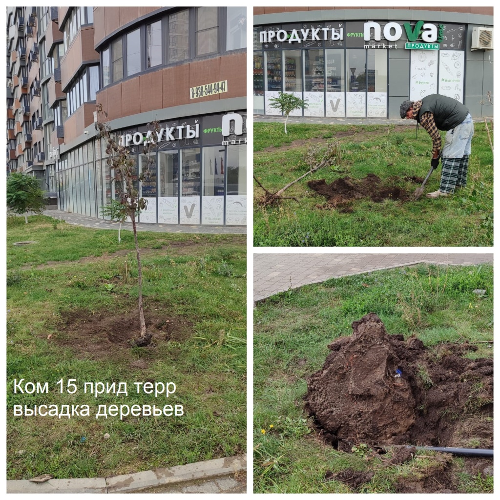 2025.10.15 - 15 пт высадка деревьев.jpeg 2025.10.15 - 15 пт высадка деревьев.jpeg