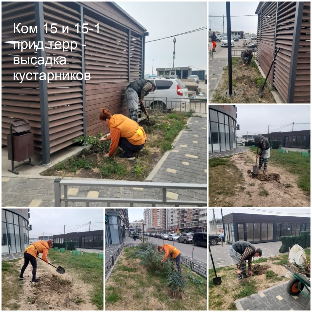2025.09.29 - 15 и 15-1 пт - высадка кустарников.jpeg 2025.09.29 - 15 и 15-1 пт - высадка кустарников.jpeg