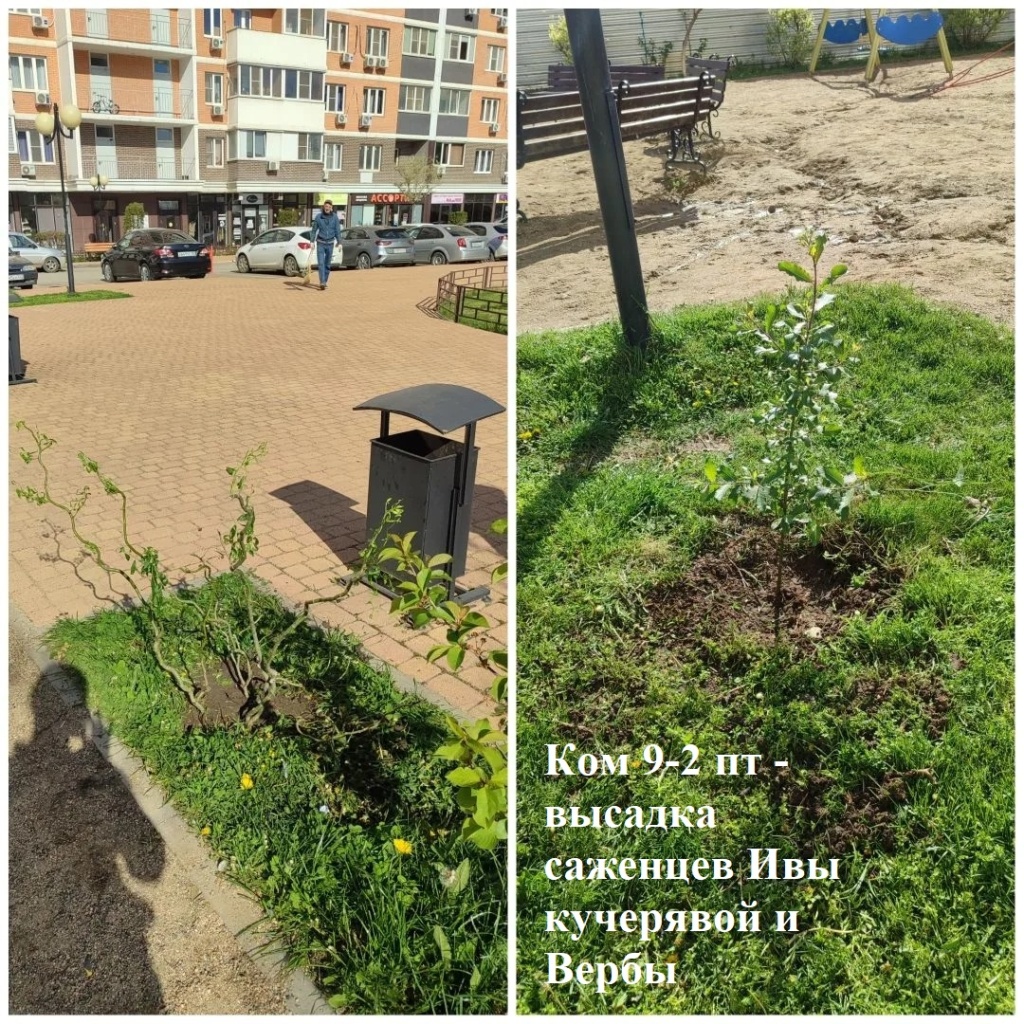 2026.04.26 - 9-2 пт - высадка саженцев Ивы кучерявой и Вербы.jpg 2026.04.26 - 9-2 пт - высадка саженцев Ивы кучерявой и Вербы.jpg