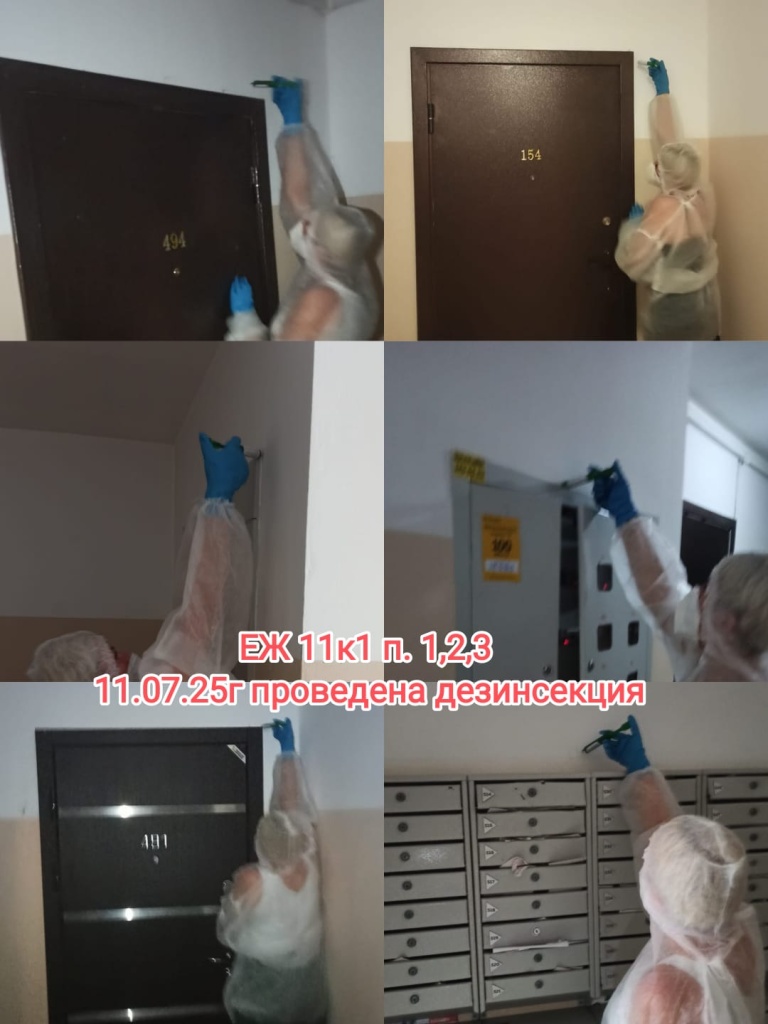 150725_ЕЖ11-1_дезинсекция.jpg 150725_ЕЖ11-1_дезинсекция.jpg