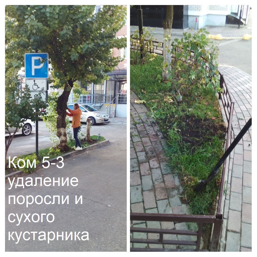 2025.10.06 - 5-3 удаление поросли и сухого кустарника.jpeg 2025.10.06 - 5-3 удаление поросли и сухого кустарника.jpeg