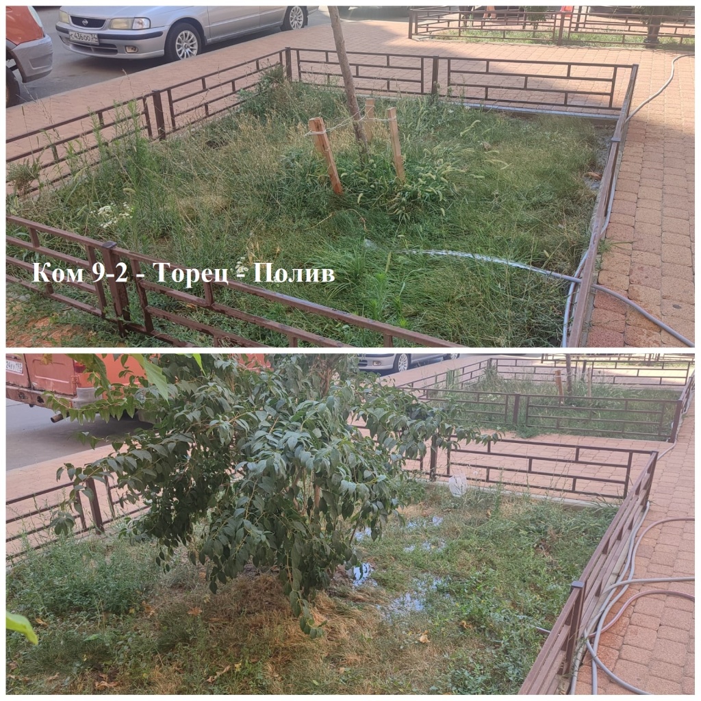 2025.08.09 - 9-2 - Торец - Полив.jpeg 2025.08.09 - 9-2 - Торец - Полив.jpeg