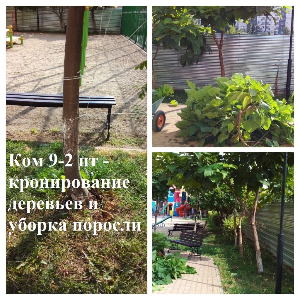 2025.08.28 - 9-2 пт - кронирование деревьев и уборка поросли.jpeg 2025.08.28 - 9-2 пт - кронирование деревьев и уборка поросли.jpeg