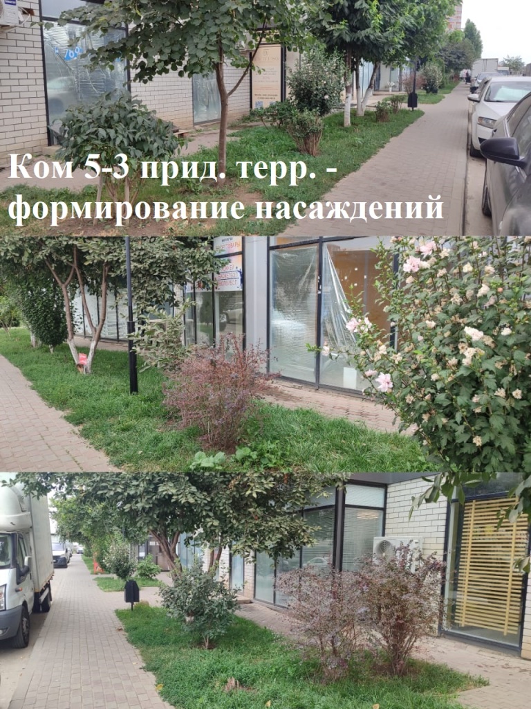 2025.07.31 - 5-3 ПТ - формирование насаждений.jpeg 2025.07.31 - 5-3 ПТ - формирование насаждений.jpeg