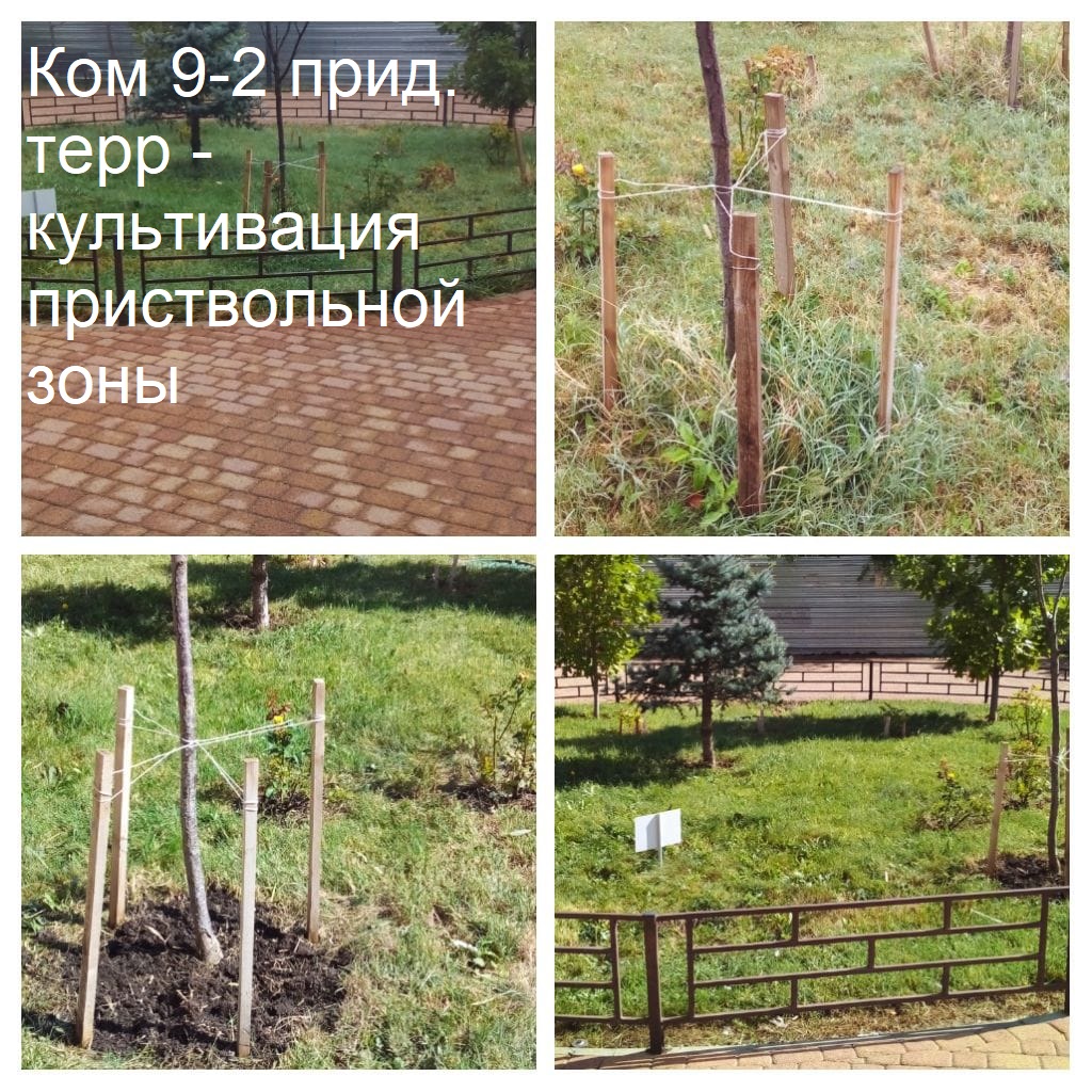 2025.09.17 - 9-2 пт - культивация приствольной зоны.jpeg 2025.09.17 - 9-2 пт - культивация приствольной зоны.jpeg