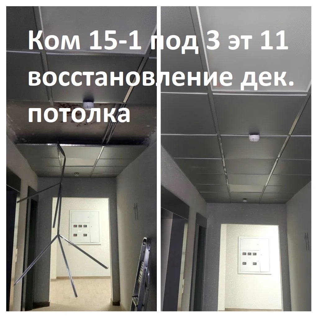 2026.05.29 - 15-1 п 3 эт 11 - воссатновление декоратив.потолка.jpg 2026.05.29 - 15-1 п 3 эт 11 - воссатновление декоратив.потолка.jpg