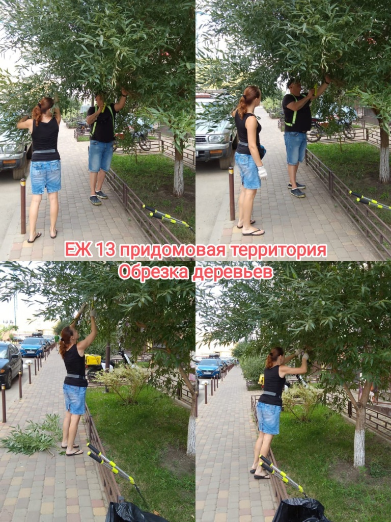 150725_ЕЖ13_придом_обрезка деревьев.jpg 150725_ЕЖ13_придом_обрезка деревьев.jpg