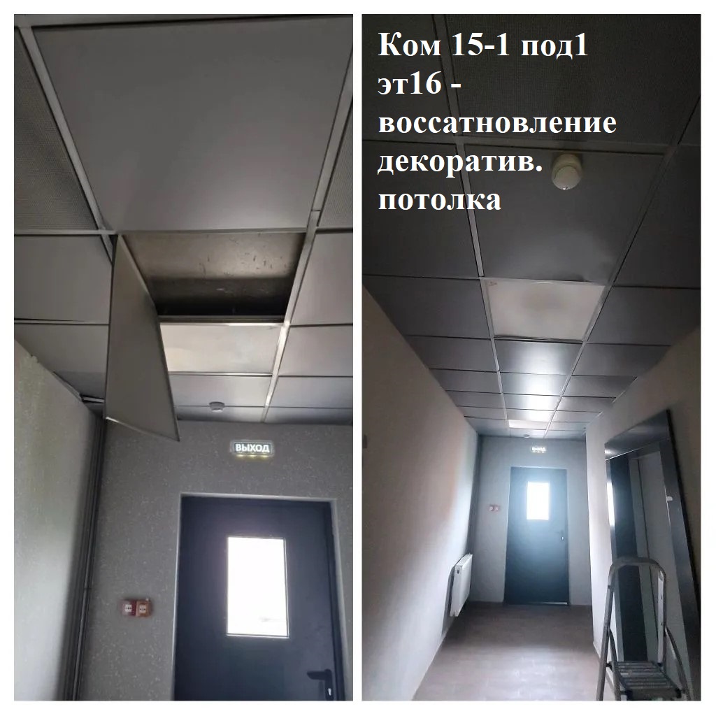 2026.05.15 - 15-1 под1 эт16 - воссатновление декоратив. потолка.jpg 2026.05.15 - 15-1 под1 эт16 - воссатновление декоратив. потолка.jpg