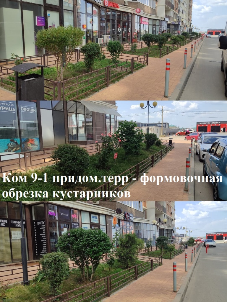 2025.07.11 - 9-1 придом.терр - формовочная обрезка кустарников.jpeg 2025.07.11 - 9-1 придом.терр - формовочная обрезка кустарников.jpeg