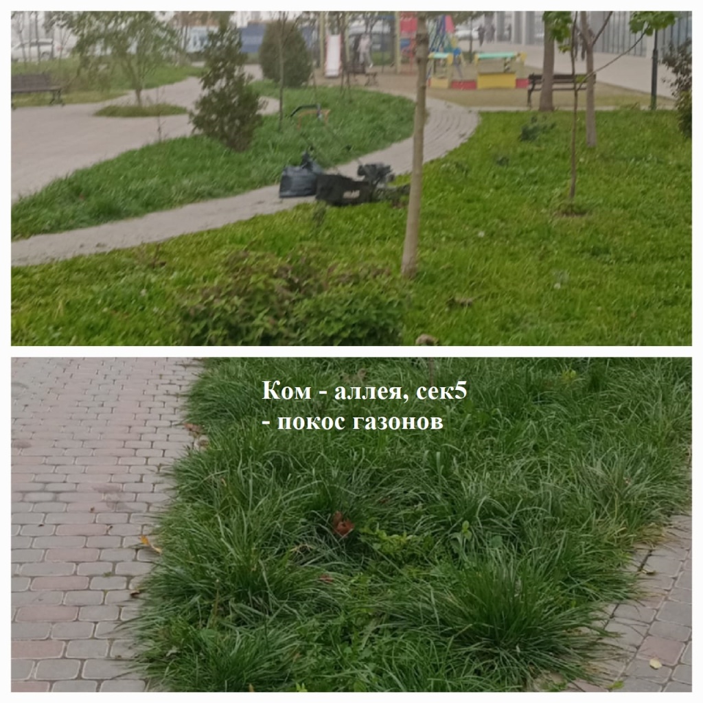 2025.11.11 - аллея, сек5 - покос газонов.jpeg 2025.11.11 - аллея, сек5 - покос газонов.jpeg