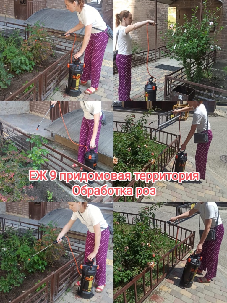 150725_ЕЖ9.-придом_обраюотка роз.jpg 150725_ЕЖ9.-придом_обраюотка роз.jpg