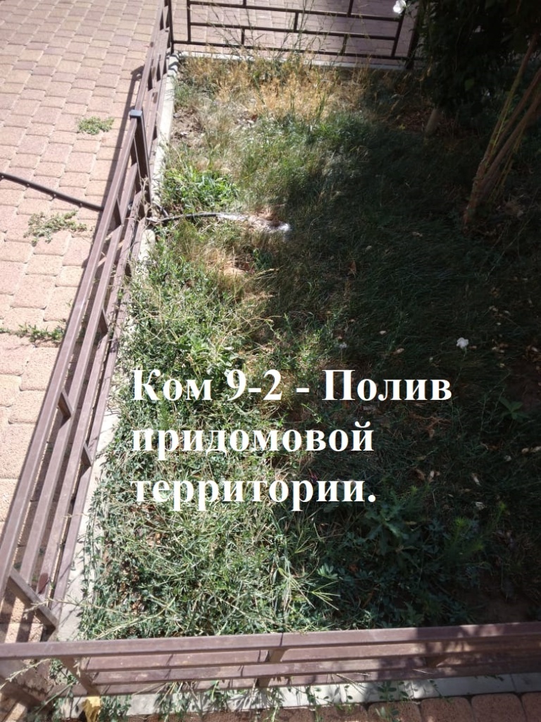 2025.08.11 - 9-2 - Полив придомовой территории..jpeg 2025.08.11 - 9-2 - Полив придомовой территории..jpeg