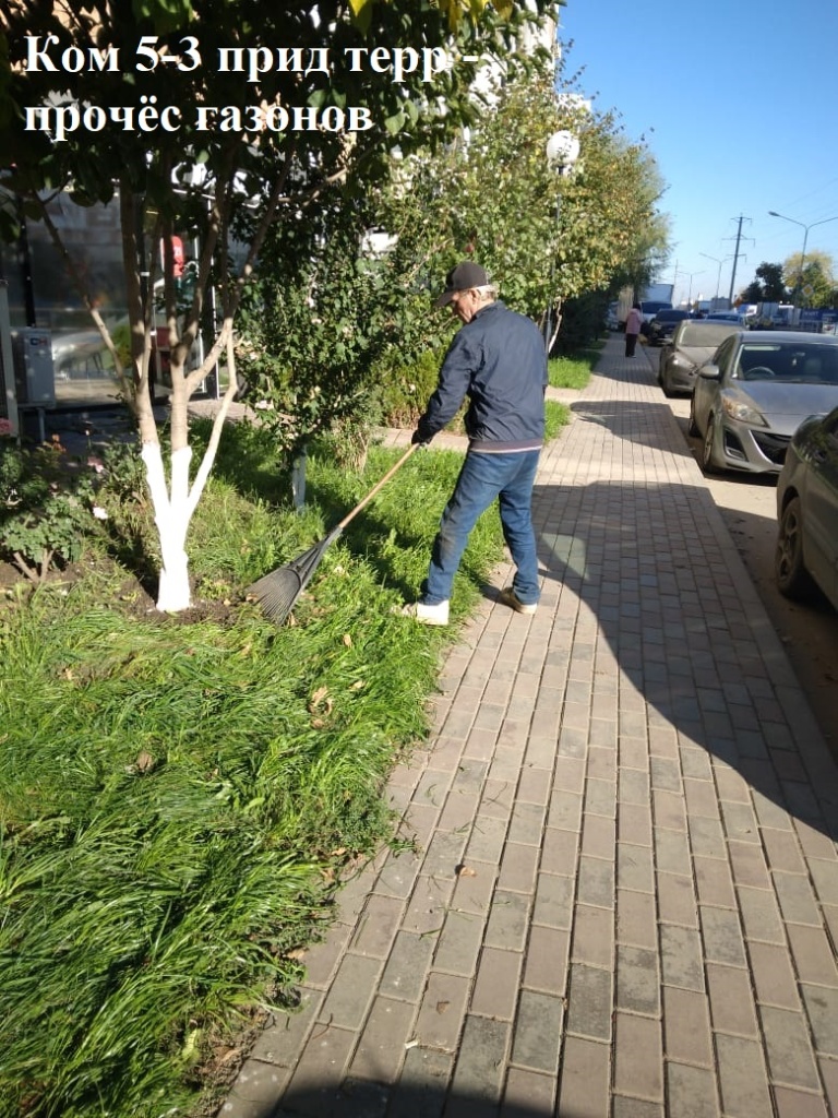 2025.10.17 - 5-3 пт - прочёс газонов.jpeg 2025.10.17 - 5-3 пт - прочёс газонов.jpeg