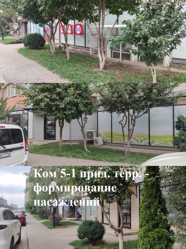 2025.07.31 - 5-1 ПТ - формирование насаждений.jpeg 2025.07.31 - 5-1 ПТ - формирование насаждений.jpeg