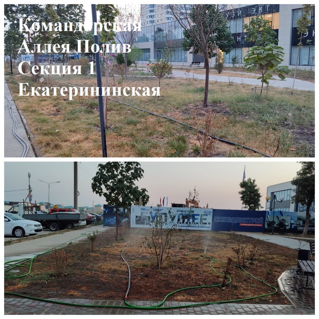 20.08.2025г.Аллея Полив Секция 1 Екатерининская.jpeg 20.08.2025г.Аллея Полив Секция 1 Екатерининская.jpeg