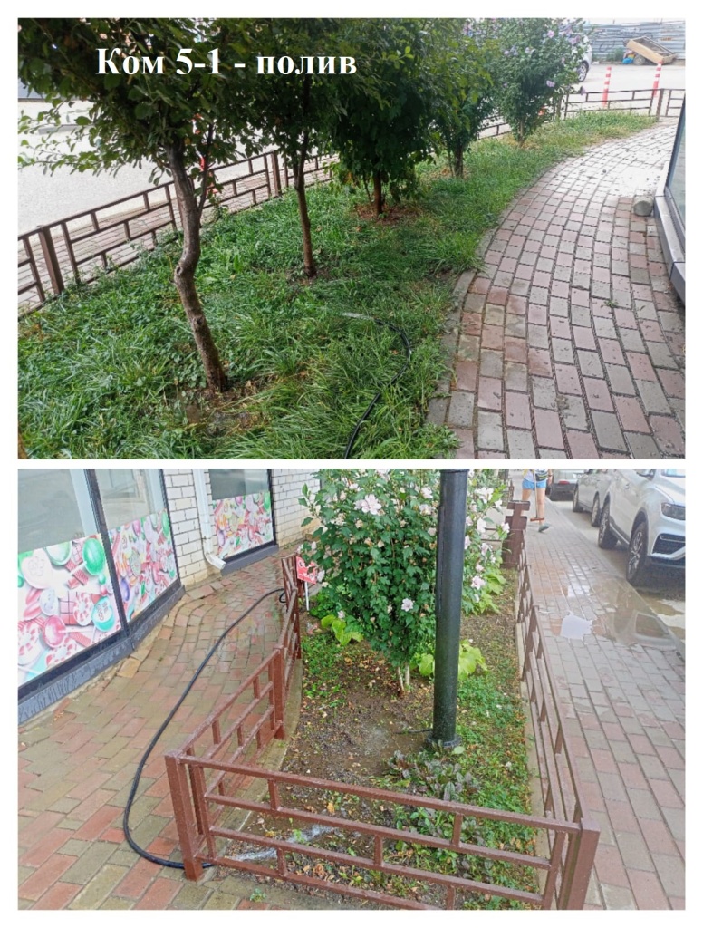 2025.08.04 - 5-1 полив.jpeg 2025.08.04 - 5-1 полив.jpeg
