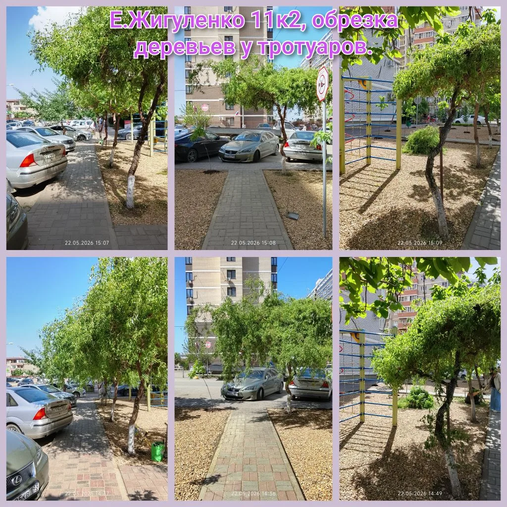 IMG_20260525_153325.png IMG_20260525_153325.png