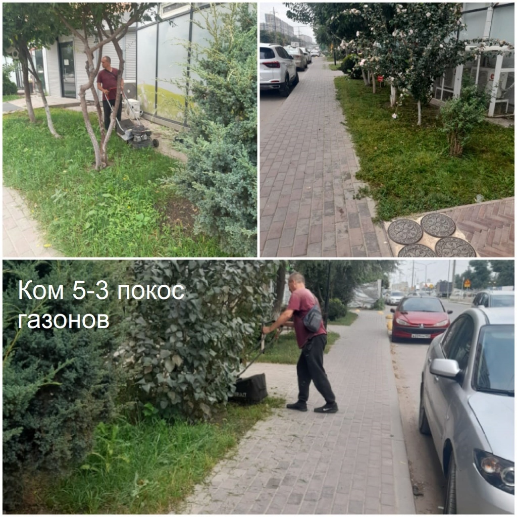 2025.09.02 - 5-3 покос газонов.jpeg 2025.09.02 - 5-3 покос газонов.jpeg