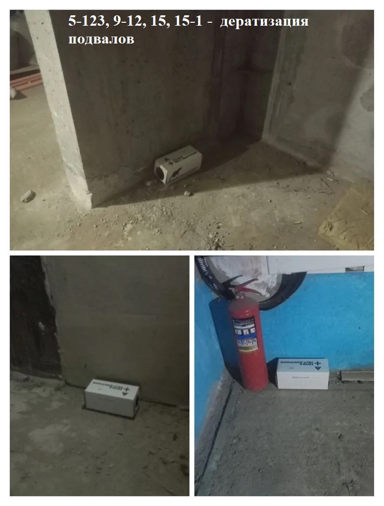 5-3 подвал - 3 шт.jpg 5-3 подвал - 3 шт.jpg