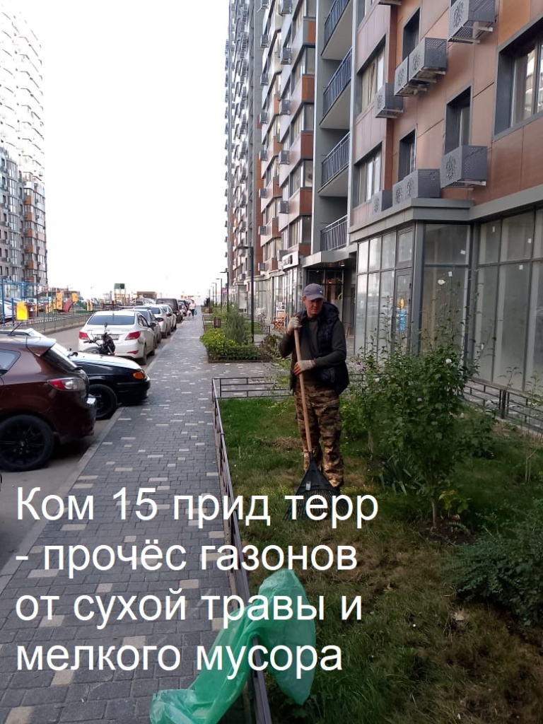 2025.10.08 - 15 пт - прочёс газонов от сухой травы и мелкого мусора.jpeg 2025.10.08 - 15 пт - прочёс газонов от сухой травы и мелкого мусора.jpeg