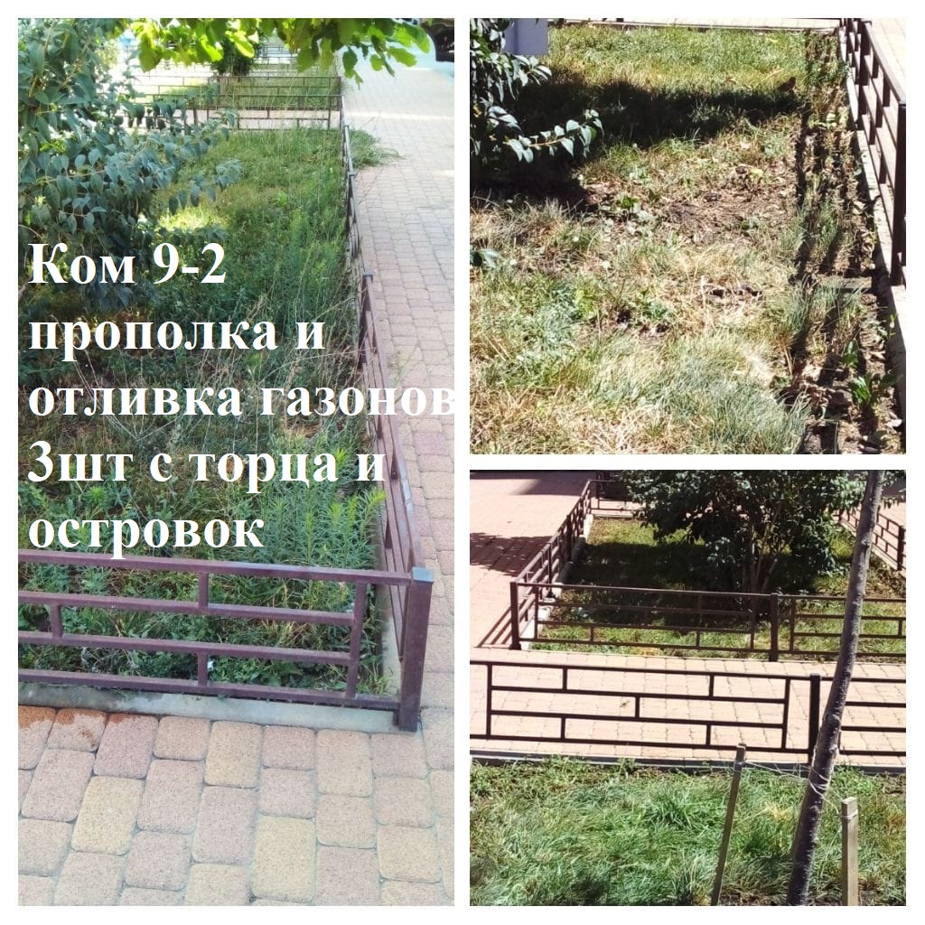 2025.08.12 - 9-2  прополка и отливка газонов 3шт с торца и островок.jpeg 2025.08.12 - 9-2  прополка и отливка газонов 3шт с торца и островок.jpeg