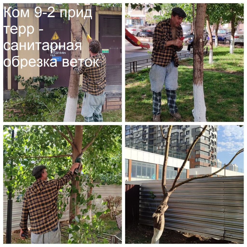 2025.10.08 - 9-2 пт - санитарная обрезка веток.jpeg 2025.10.08 - 9-2 пт - санитарная обрезка веток.jpeg