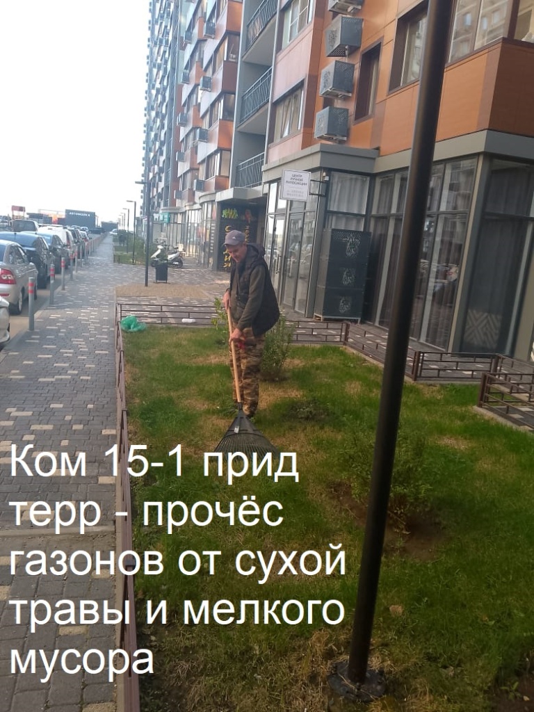 2025.10.08 - 15-1 пт - прочёс газонов от сухой травы и мелкого мусора.jpeg 2025.10.08 - 15-1 пт - прочёс газонов от сухой травы и мелкого мусора.jpeg