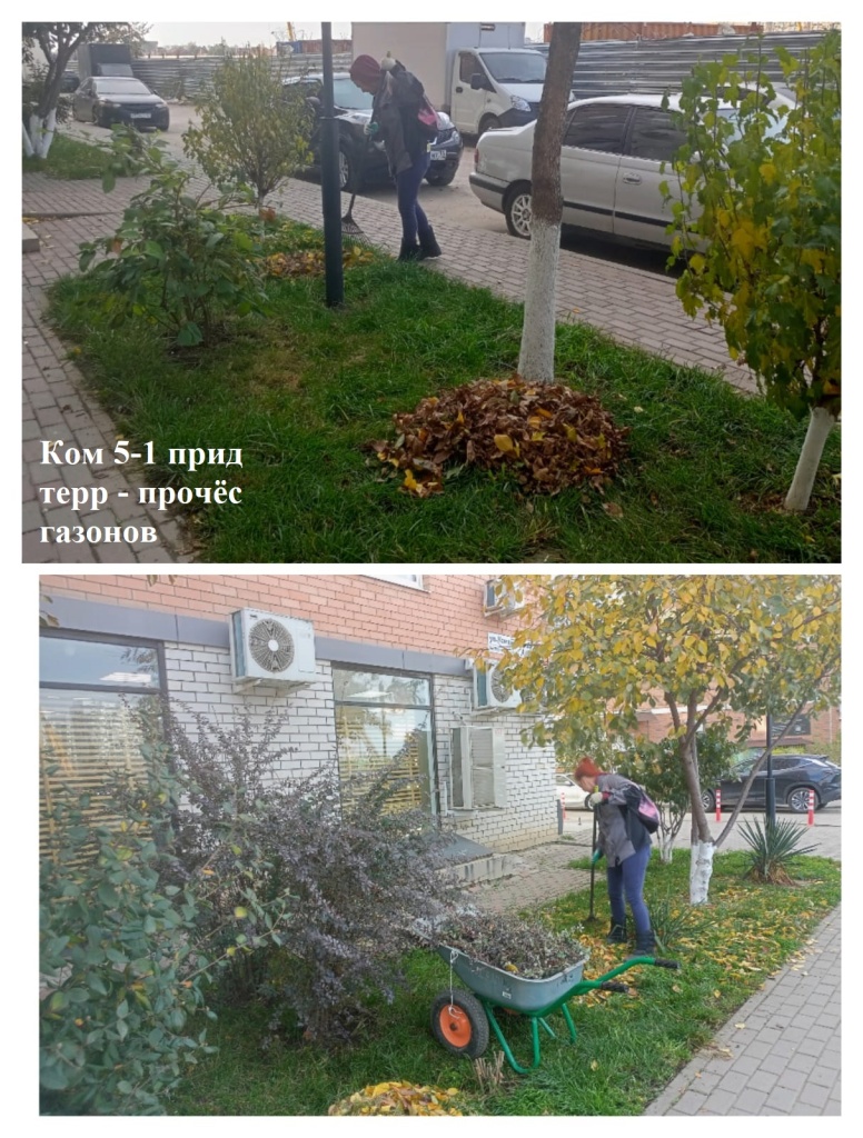 2025.11.19 - 5-1 пт - прочёс газонов.jpeg 2025.11.19 - 5-1 пт - прочёс газонов.jpeg