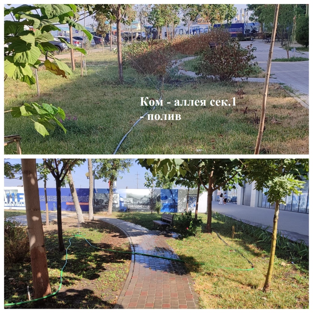 2025.08.27 - аллея сек.1 - полив.jpeg 2025.08.27 - аллея сек.1 - полив.jpeg
