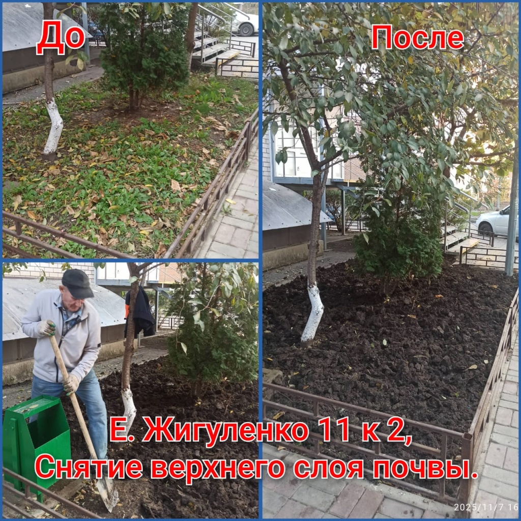 121125_ЕЖ11-2_перекопка.jpeg 121125_ЕЖ11-2_перекопка.jpeg