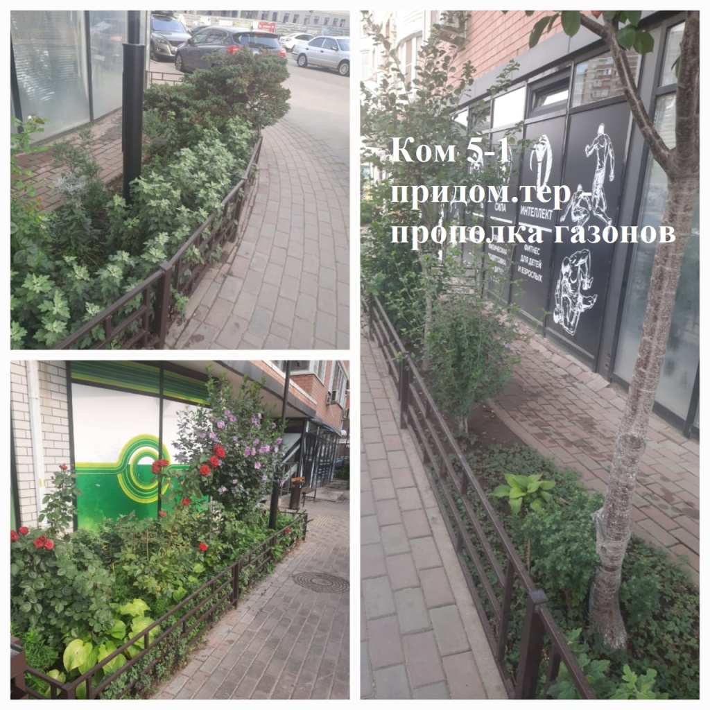 2025.08.01 - 5-1 придом.тер-рия - прополка газонов.jpeg 2025.08.01 - 5-1 придом.тер-рия - прополка газонов.jpeg