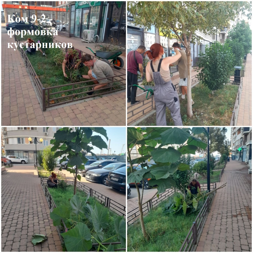 2025.08.21 - 9-2 пт - формовка кустарников.jpeg 2025.08.21 - 9-2 пт - формовка кустарников.jpeg