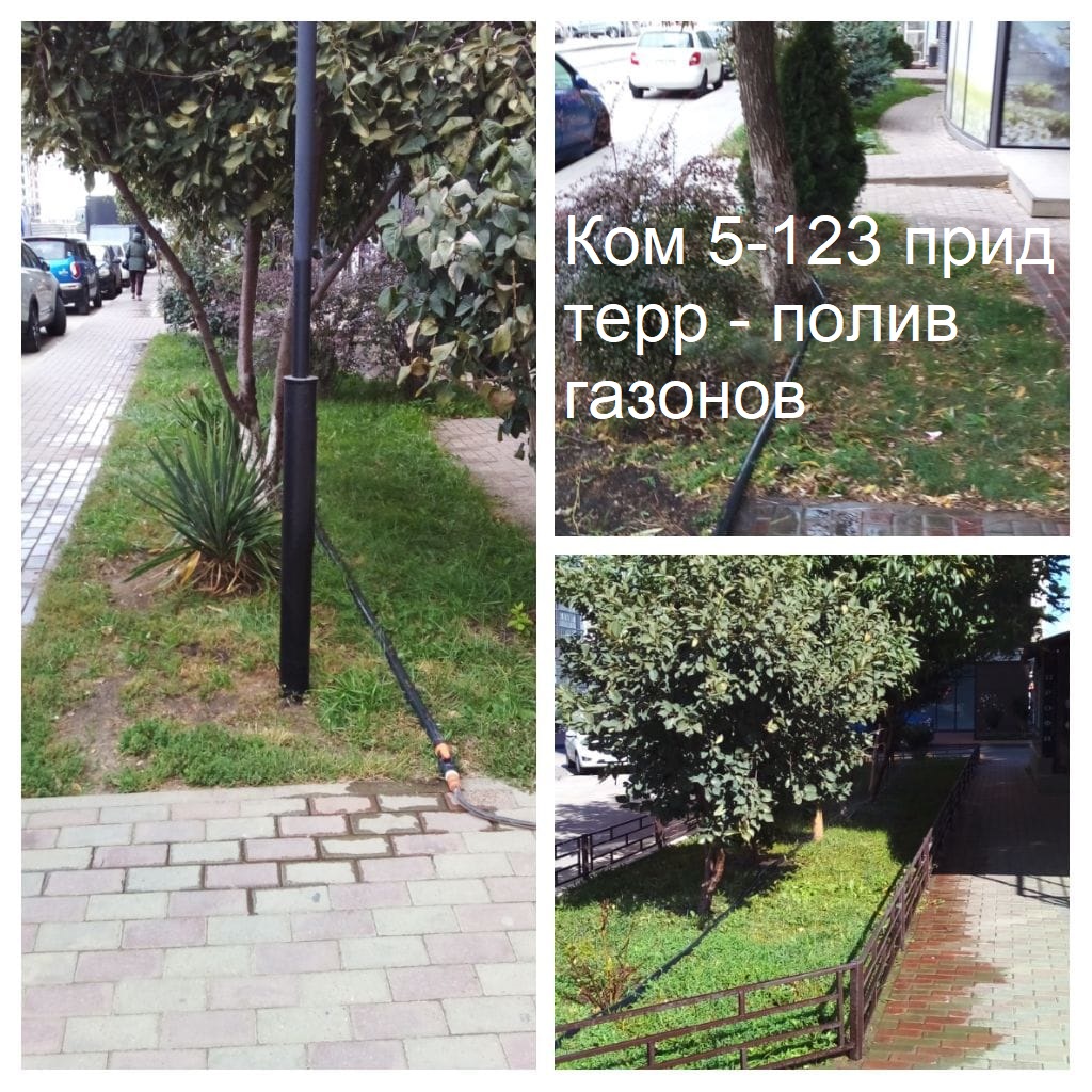 2025.09.26 - 5-123 пт - полив газонов.jpeg 2025.09.26 - 5-123 пт - полив газонов.jpeg