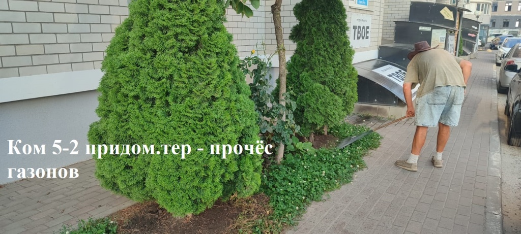 2025.07.08 - 5-2 придом.тер - прочёс газонов.jpeg 2025.07.08 - 5-2 придом.тер - прочёс газонов.jpeg