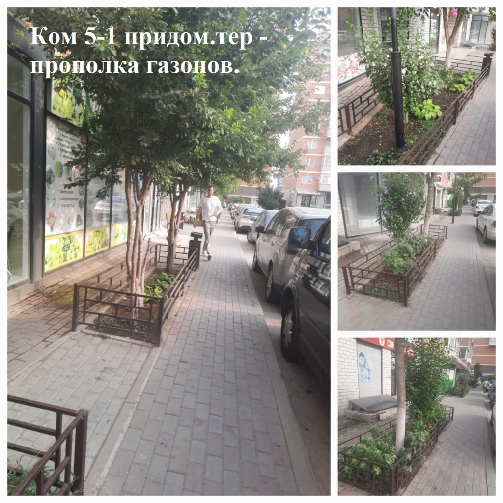 2025.08.01 - 5-1 придом.тер-рия - прополка газонов..jpeg 2025.08.01 - 5-1 придом.тер-рия - прополка газонов..jpeg