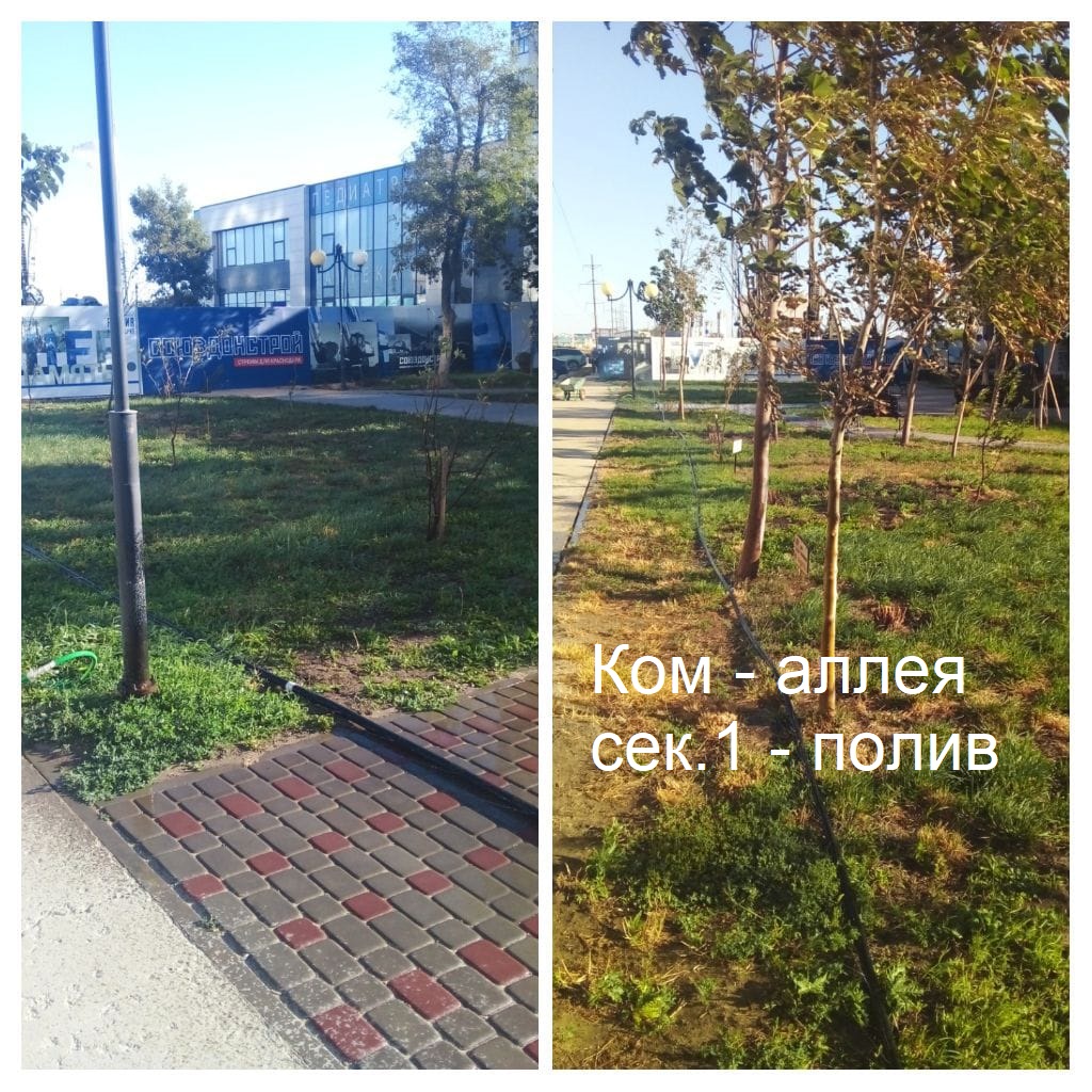 2025.09.15 - аллея сек.1 - полив.jpeg 2025.09.15 - аллея сек.1 - полив.jpeg
