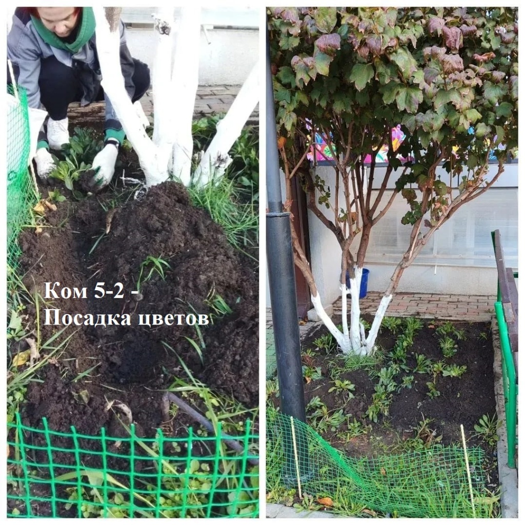 2025.10.30 - 5-2 - Посадка цветов.jpeg 2025.10.30 - 5-2 - Посадка цветов.jpeg