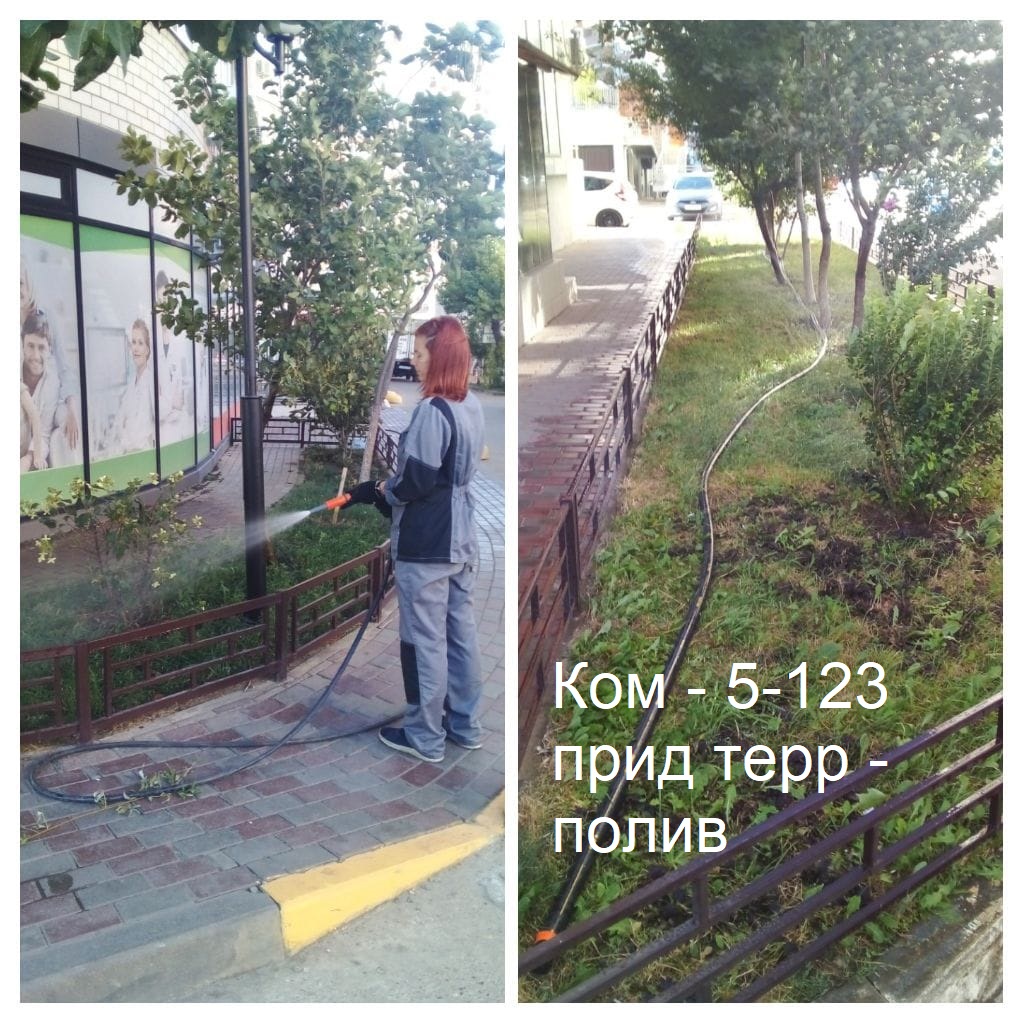 2025.09.15 - 5-123 пт - полив.jpeg 2025.09.15 - 5-123 пт - полив.jpeg